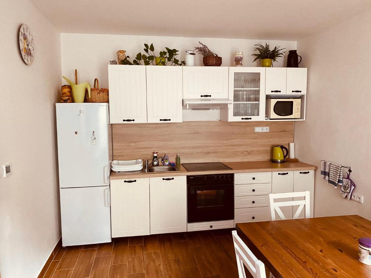 Apartmán pod Božím Darem Jáchymov Esterno foto